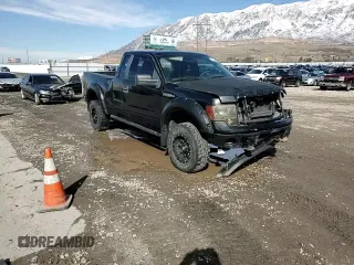 2009 Ford F-150 STX with VIN 1FTRX14W09FA24655, listed as a Copart auction lot 46085665 with Not Provided miles and Salvage Title. Bid and sale history available at DreamBid. Image 10.