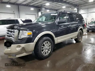 2010 Ford Expedition Eddie Bauer with VIN 1FMJU1J55AEB48542, listed as a Copart auction lot 49162835 with 171,100 mi miles and Salvage title. Bid and sale history available at DreamBid. Image 1.