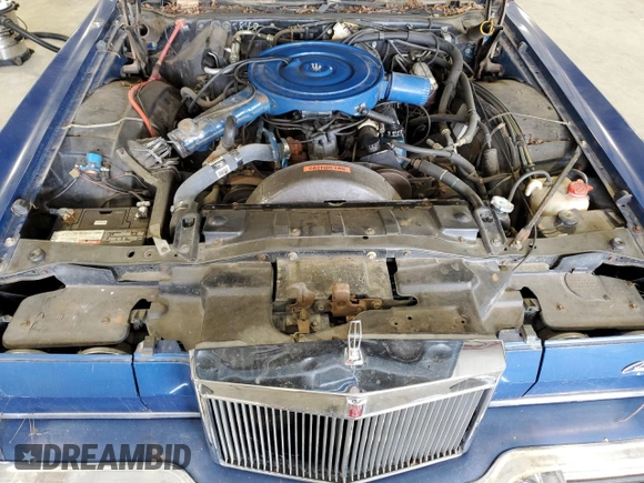 1976 Lincoln Continental with VIN 0000006Y89A895848, listed as a Copart auction lot 45959455 with 33,426 mi miles and Clean Title. Bid and sale history available at DreamBid. Image 11.