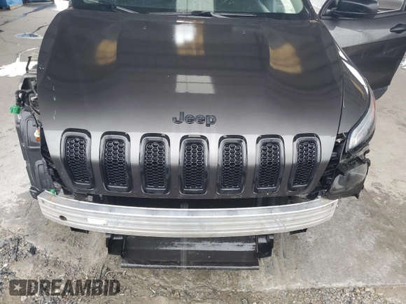 2016 Jeep Cherokee Sport z VIN 1C4PJLAB9GW371386, wystawiony jako Copart lot #57554195 z przebiegiem 158 250 mil mil oraz Szkoda całkowita • Salvage title. Historia ofert i sprzedaży dostępna na DreamBid. Obrazek 11.