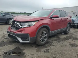 2020 Honda CR-V EX with VIN 5J6RW2H50LL001471, listed as a Copart auction lot 61381455 with 55,856 mi miles and Salvage title. Bid and sale history available at DreamBid. Image 1.