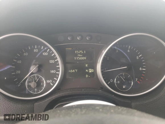 2009 Mercedes-Benz GL-Class 4.6L with VIN 4JGBF71E39A449301, listed as a Copart auction lot 76270754 with 115,009 mi miles and Salvage Title. Bid and sale history available at carsss.com. Image 9.