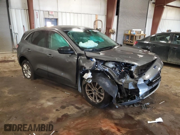 2022 Ford Escape SE with VIN 1FMCU9G66NUB71332, listed as a Copart auction lot 74324304 with 31,433 mi miles and Non Repairable. Bid and sale history available at DreamBid. Image 4.