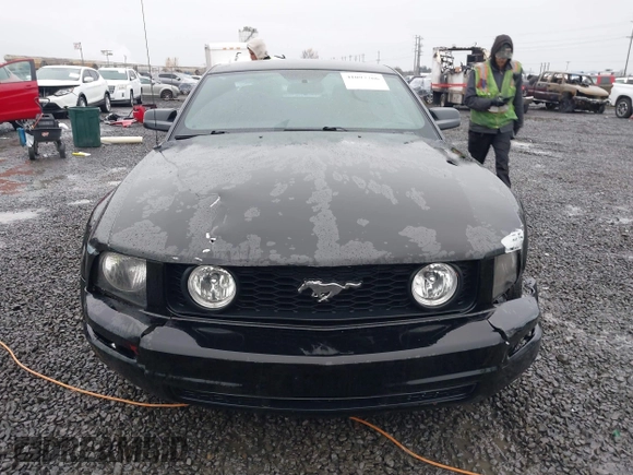 2006 Ford Mustang Standard with VIN 1ZVFT80N565161531, listed as a IAAI auction lot 41097766 with 149,250 mi miles and . Bid and sale history available at DreamBid. Image 12.