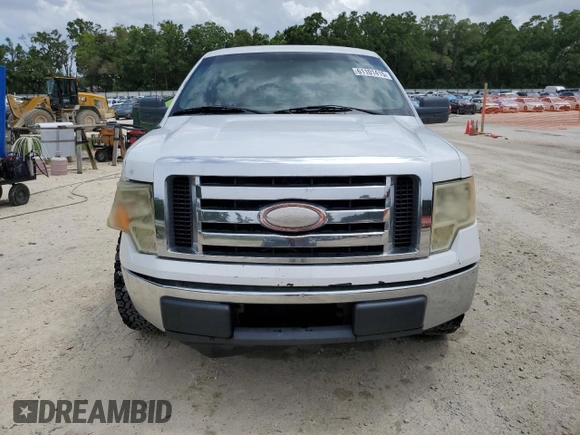 2009 Ford F-150 XL with VIN 1FTRF12W89KB56933, listed as a Copart auction lot 61101415 with 189,462 mi miles and Salvage title. Bid and sale history available at DreamBid. Image 5.