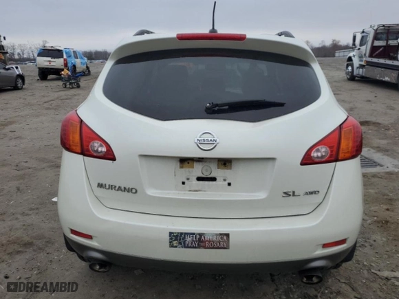 2010 Nissan Murano SL with VIN JN8AZ1MW9AW110806, listed as a Copart auction lot 49140965 with 184,710 mi miles and Clean Title. Bid and sale history available at carsss.com. Image 6.