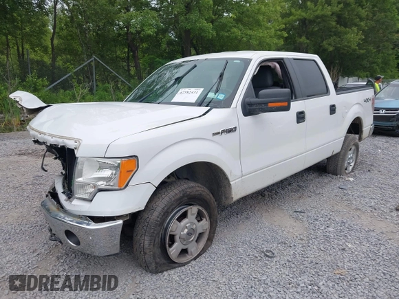 2014 Ford F-150 XL with VIN 1FTFW1EF3EFC43480, listed as a IAAI auction lot 42582431 with 134,382 mi miles and . Bid and sale history available at DreamBid. Image 2.