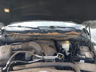 2015 Ram 1500 Big Horn with VIN 1C6RR7LT0FS787533, listed as a IAAI auction lot 42019334 with 225,513 mi miles. Bid and sale history available at carsss.com. Image 10.