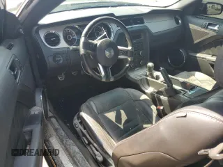 2013 Ford Mustang GT with VIN 1ZVBP8CF2D5202086, listed as a Copart auction lot 52985025 with 83,074 mi miles and Salvage Title. Bid and sale history available at DreamBid. Image 8.