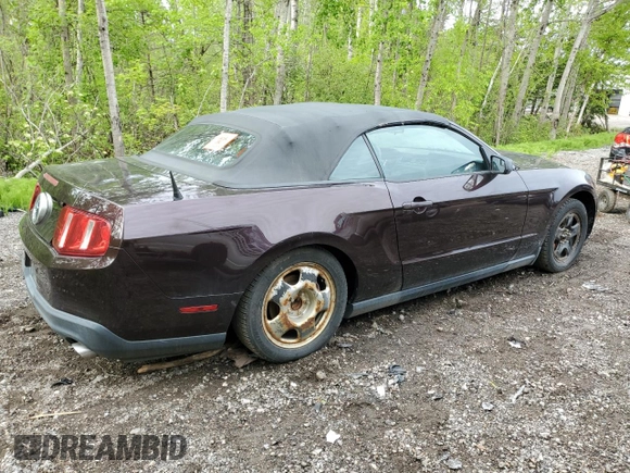 2011 Ford Mustang V6 with VIN 1ZVBP8EM8B5129301, listed as a Copart auction lot 56668885 with Not provided miles and Non repairable. Bid and sale history available at DreamBid. Image 3.