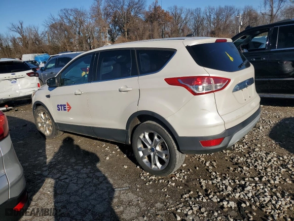 2013 Ford Escape SEL with VIN 1FMCU9H94DUD25673, listed as a Copart auction lot 84903014 with 124,653 mi miles and Salvage Title. Bid and sale history available at carsss.com. Image 2.