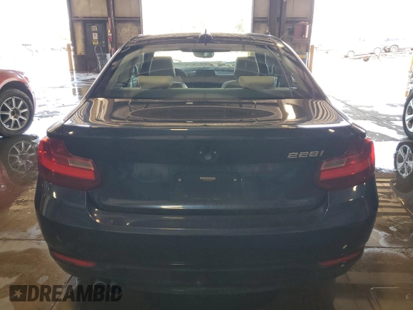 2015 BMW 2 Series 228i with VIN WBA1F5C54FVW98189, listed as a Copart auction lot 61815175 with 67,216 mi miles and Salvage title. Bid and sale history available at DreamBid. Image 6.