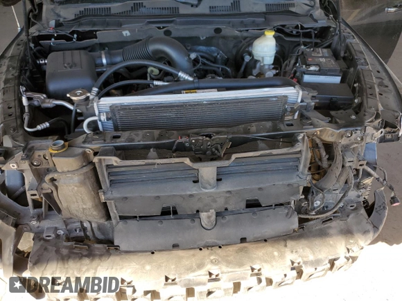 2015 Ram 1500 Sport with VIN 1C6RR6MT5FS785009, listed as a Copart auction lot 84213404 with 196,256 mi miles and Salvage title. Bid and sale history available at DreamBid. Image 12.