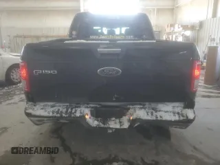 2015 Ford F-150 XLT with VIN 1FTEW1EPXFKD35666, listed as a Copart auction lot 41676415 with 182,665 mi miles and Salvage Title. Bid and sale history available at DreamBid. Image 6.