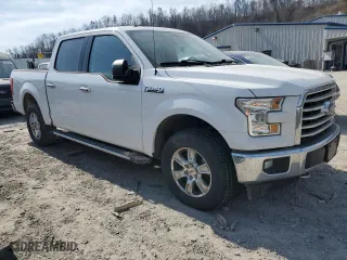 2017 Ford F-150 XL with VIN 1FTEW1EFXHFA95974, listed as a Copart auction lot 48919085 with 236,491 mi miles and Salvage Title. Bid and sale history available at carsss.com. Image 4.