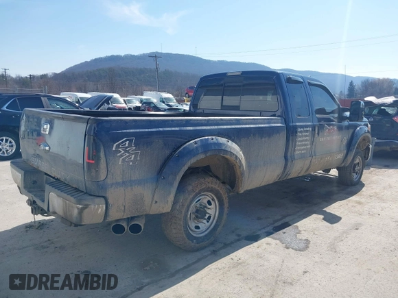 2011 Ford F-250 XL with VIN 1FT7X2BT5BEA97747, listed as a IAAI auction lot 41596227 with 234,797 mi miles and . Bid and sale history available at DreamBid. Image 4.