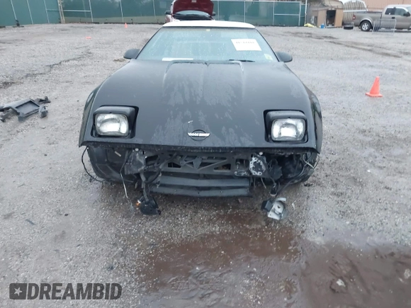 1987 Chevrolet Corvette z VIN 1G1YY3184H5124409, wystawiony jako IAAI lot #41518101 z przebiegiem 121 592 mil mil oraz . Historia ofert i sprzedaży dostępna na DreamBid. Obrazek 6.