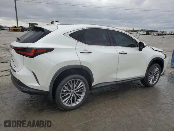 2023 Lexus NX with VIN JTJGKCEZXP2013352, listed as a Copart auction lot 49780415 with 44,593 mi miles and Salvage Title. Bid and sale history available at carsss.com. Image 3.