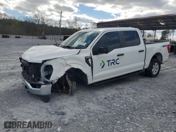 2023 Ford F-150 XL с VIN 1FTEW1EP8PFA03624, выставлен на аукционе Copart как лот 49273815 с пробегом 35 218 миль миль и Списание • Salvage title. История ставок и продаж доступна на DreamBid. Изображение 1.