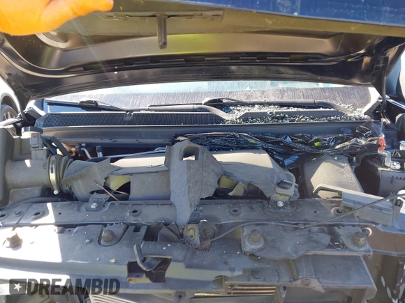 2021 Chevrolet Colorado 4WD Work Truck with VIN 1GCGTBENXM1298059, listed as a IAAI auction lot 41465118 with Not provided miles and . Bid and sale history available at DreamBid. Image 10.