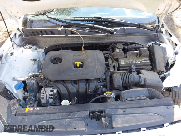 2019 Kia Forte LXS with VIN 3KPF24AD3KE041519, listed as a IAAI auction lot 41809416 with 92,765 mi miles and . Bid and sale history available at carsss.com. Image 10.