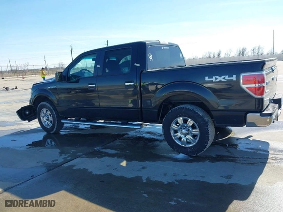 2010 Ford F-150 XL with VIN 1FTEW1E87AFC49449, listed as a IAAI auction lot 41312515 with 226,355 mi miles. Bid and sale history available at carsss.com. Image 14.