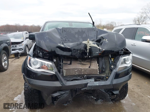 2018 Chevrolet Colorado 4WD ZR2 with VIN 1GCGTEEN9J1173647, listed as a IAAI auction lot 42016015 with 102,041 mi miles. Bid and sale history available at carsss.com. Image 13.