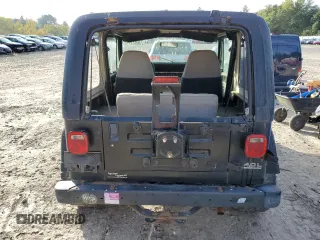 1994 Jeep Wrangler with VIN 1J4FY29S1RP461693, listed as a Copart auction lot 73662974 with 202,452 mi miles and Clean Title. Bid and sale history available at carsss.com. Image 6.
