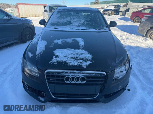 2009 Audi A4 with VIN WAULF68K79N017833, listed as a Copart auction lot 86507584 with 202,534 mi miles and Salvage title. Bid and sale history available at DreamBid. Image 5.