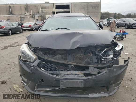 2014 Kia Cadenza Premium with VIN KNALN4D71E5124055, listed as a Copart auction lot 80391974 with 54,363 mi miles and Salvage Title. Bid and sale history available at carsss.com. Image 5.