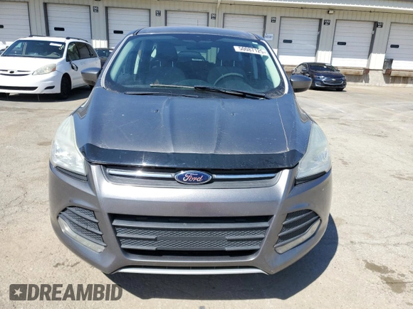 2013 Ford Escape SE with VIN 1FMCU0GX9DUB80240, listed as a Copart auction lot 50087125 with 175,551 mi miles and Clean Title. Bid and sale history available at DreamBid. Image 5.