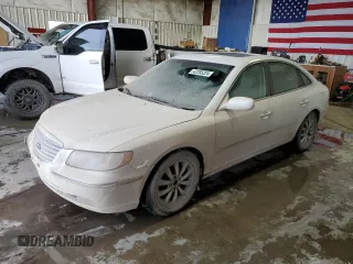 2007 Hyundai Azera SE with VIN KMHFC46F17A241134, listed as a Copart auction lot 45387245 with 143,358 mi miles and Clean title. Bid and sale history available at DreamBid. Image 1.