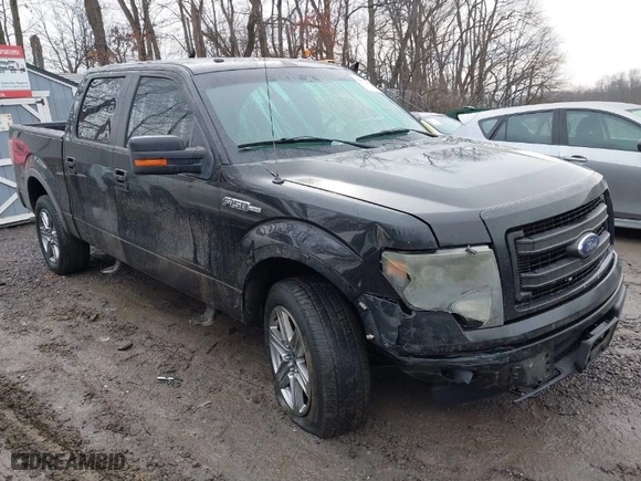 2014 Ford F-150 XL with VIN 1FTFW1EF1EKE19742, listed as a IAAI auction lot 41673085 with 260,768 mi miles. Bid and sale history available at carsss.com. Image 1.