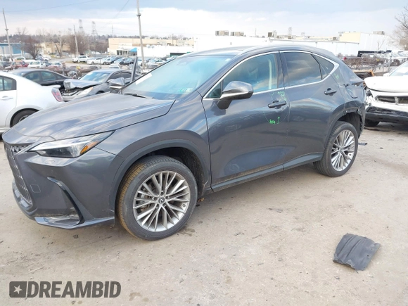 2023 Lexus NX with VIN 2T2HGCEZ2PC024481, listed as a IAAI auction lot 41203195 with 1 mi miles. Bid and sale history available at carsss.com. Image 16.