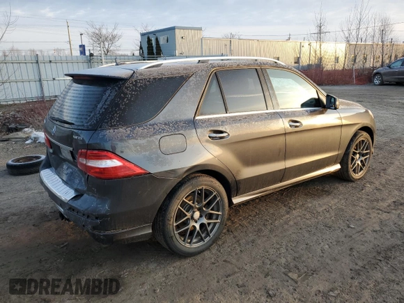 2014 Mercedes-Benz M 350 with VIN 4JGDA2EB4EA424086, listed as a Copart auction lot 48661845 with 131,818 mi miles and Salvage Title. Bid and sale history available at DreamBid. Image 3.