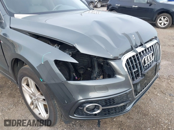 2015 Audi Q5 Premium Plus with VIN WA1DGAFP5FA005523, listed as a IAAI auction lot 42303313 with 105,426 mi miles and . Bid and sale history available at DreamBid. Image 6.