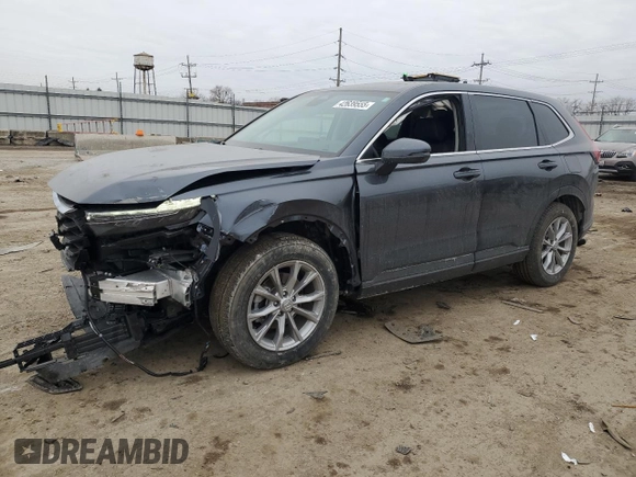 2025 Honda CR-V EX-L with VIN 7FARS4H75SE008095, listed as a Copart auction lot 42639555 with 9,309 mi miles and Salvage Title. Bid and sale history available at DreamBid. Image 1.