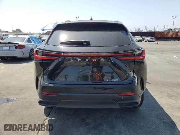 2024 Lexus NX 250 with VIN 2T2ADCAZ9RC012170, listed as a Copart auction lot 54069385 with 19,400 mi miles and Salvage title. Bid and sale history available at DreamBid. Image 6.