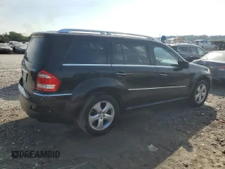 2010 Mercedes-Benz GL-Class GL 450 with VIN 4JGBF7BEXAA589607, listed as a Copart auction lot 65849184 with 251,284 mi miles and Salvage Title. Bid and sale history available at carsss.com. Image 3.