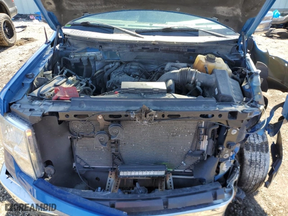2013 Ford F-150 XL with VIN 1FTEW1CM4DFC15215, listed as a Copart auction lot 48983375 with 205,081 mi miles and Salvage Title. Bid and sale history available at carsss.com. Image 11.