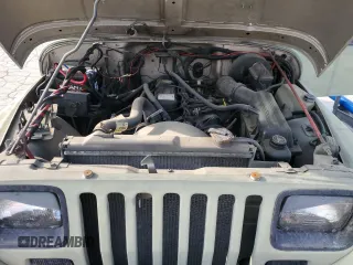 1995 Jeep Wrangler S with VIN 1J4FY19P2SP267203, listed as a Copart auction lot 49241305 with 135,298 mi miles and Clean Title. Bid and sale history available at carsss.com. Image 11.