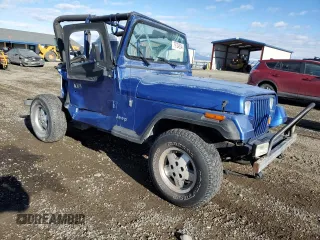1995 Jeep Wrangler S with VIN 1J4FY19P8SP242032, listed as a Copart auction lot 79724804 with 142,588 mi miles and Clean Title. Bid and sale history available at carsss.com. Image 4.