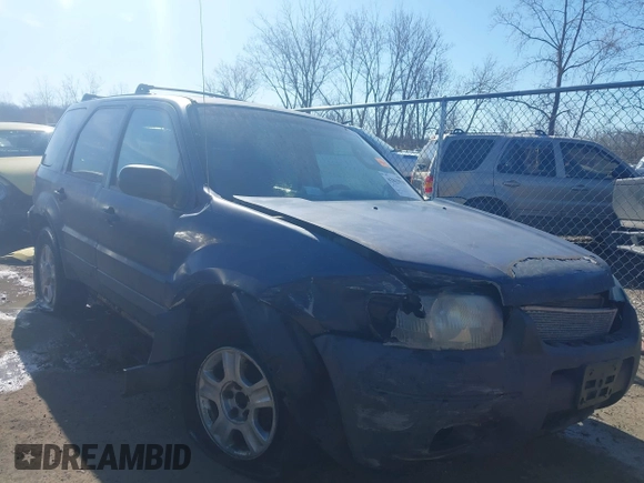 2003 Ford Escape XLT Popular with VIN 1FMYU03103KD07779, listed as a IAAI auction lot 42019919 with 245,522 mi miles. Bid and sale history available at carsss.com. Image 1.
