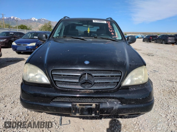 1999 Mercedes-Benz M 320/430/500 z VIN 4JGAB72E7XA094491, wystawiony jako Copart lot #57490025 z przebiegiem 194 406 mil mil oraz Szkoda całkowita • Salvage title. Historia ofert i sprzedaży dostępna na DreamBid. Obrazek 5.
