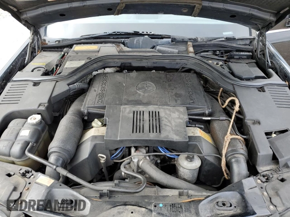1994 Mercedes-Benz S with VIN WDBGA43E2RA161224, listed as a Copart auction lot 51299945 with 114,117 mi miles and Clean Title. Bid and sale history available at DreamBid. Image 11.