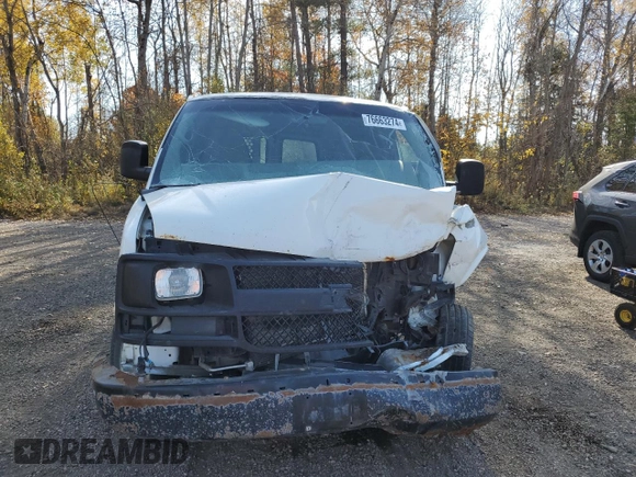 2010 Chevrolet Express Cargo with VIN 1GCZGFBA4A1125414, listed as a Copart auction lot 76663274 with Not provided miles and Salvage title. Bid and sale history available at DreamBid. Image 5.