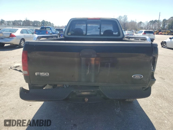1998 Ford F-150 with VIN 1FTZF172XWNB64967, listed as a Copart auction lot 48491685 with 243,907 mi miles and Salvage title. Bid and sale history available at DreamBid. Image 6.