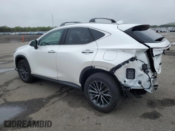 2024 Lexus NX 350 with VIN 2T2AGCEZ8RC039846, listed as a Copart auction lot 56861105 with 20,876 mi miles and Salvage title. Bid and sale history available at DreamBid. Image 2.