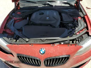 2017 BMW 2 Series 230i with VIN WBA2K9C52HV647199, listed as a Copart auction lot 61074605 with 53,876 mi miles and Salvage title. Bid and sale history available at DreamBid. Image 11.