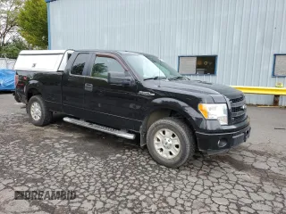 2013 Ford F-150 XL with VIN 1FTEX1CM0DKD75533, listed as a Copart auction lot 76499874 with 183,443 mi miles and Salvage Title. Bid and sale history available at carsss.com. Image 4.